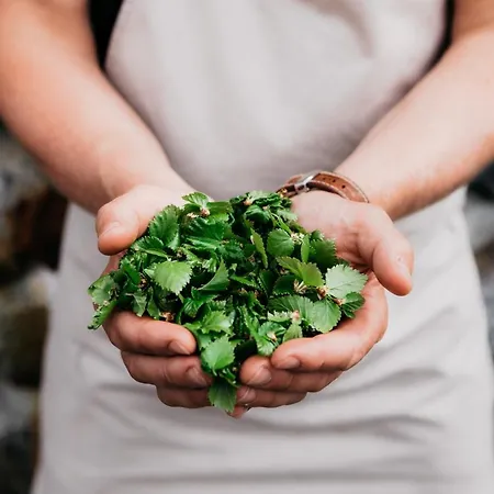 Hotel Lapland Kilpis 2*