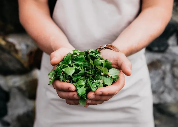 Hotel Lapland Kilpis 2*